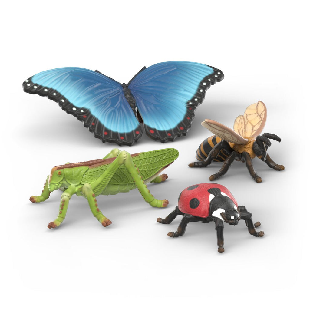 Insects discovery set