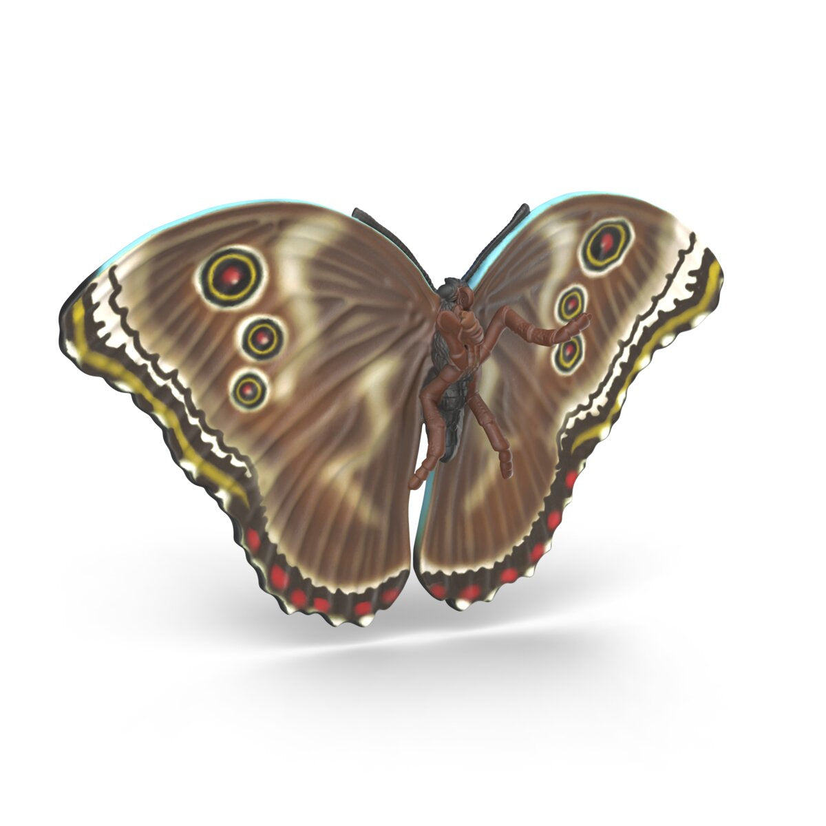Insects discovery set