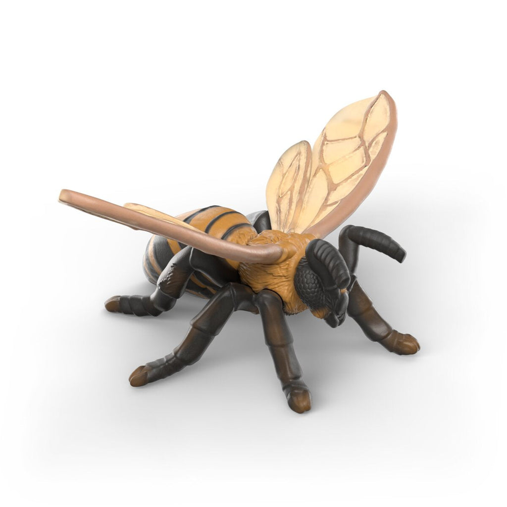 Insects discovery set